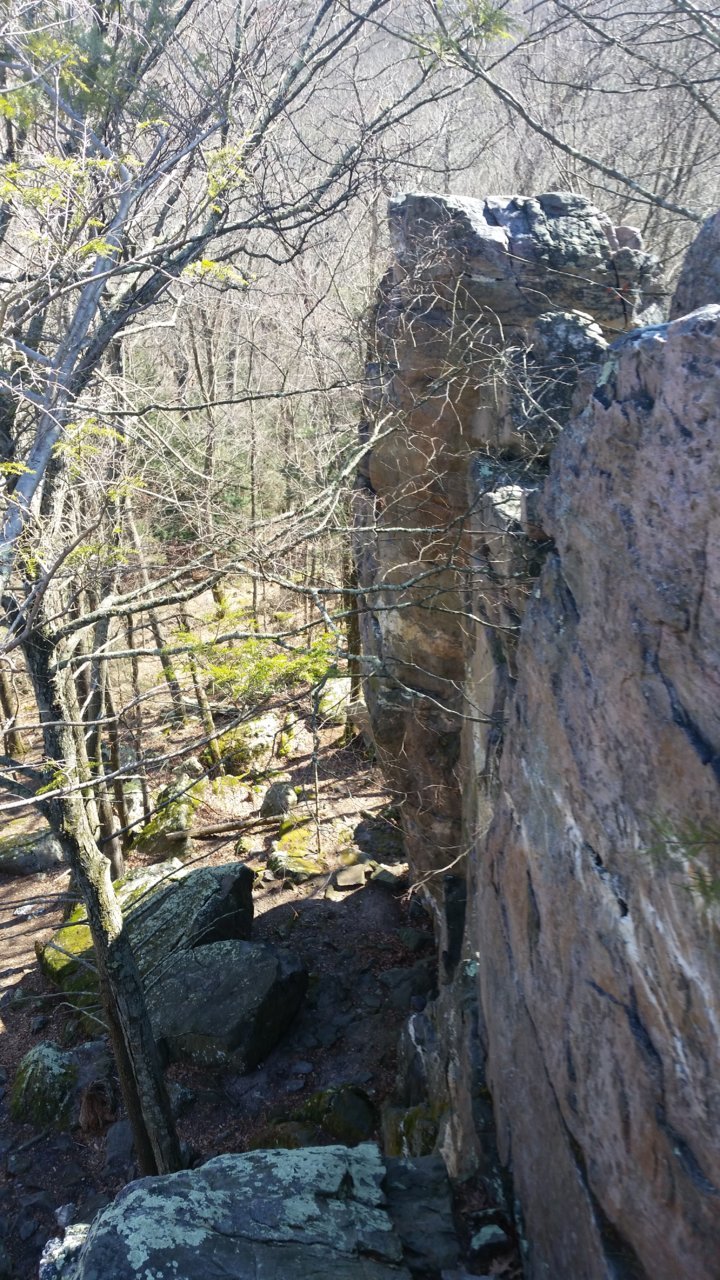 20200309_123012.jpg