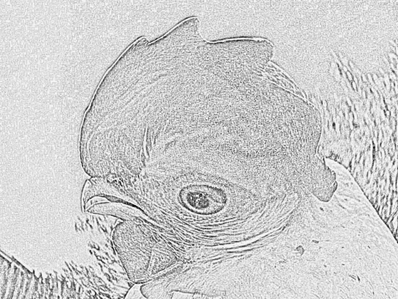 20200311_035540.jpg