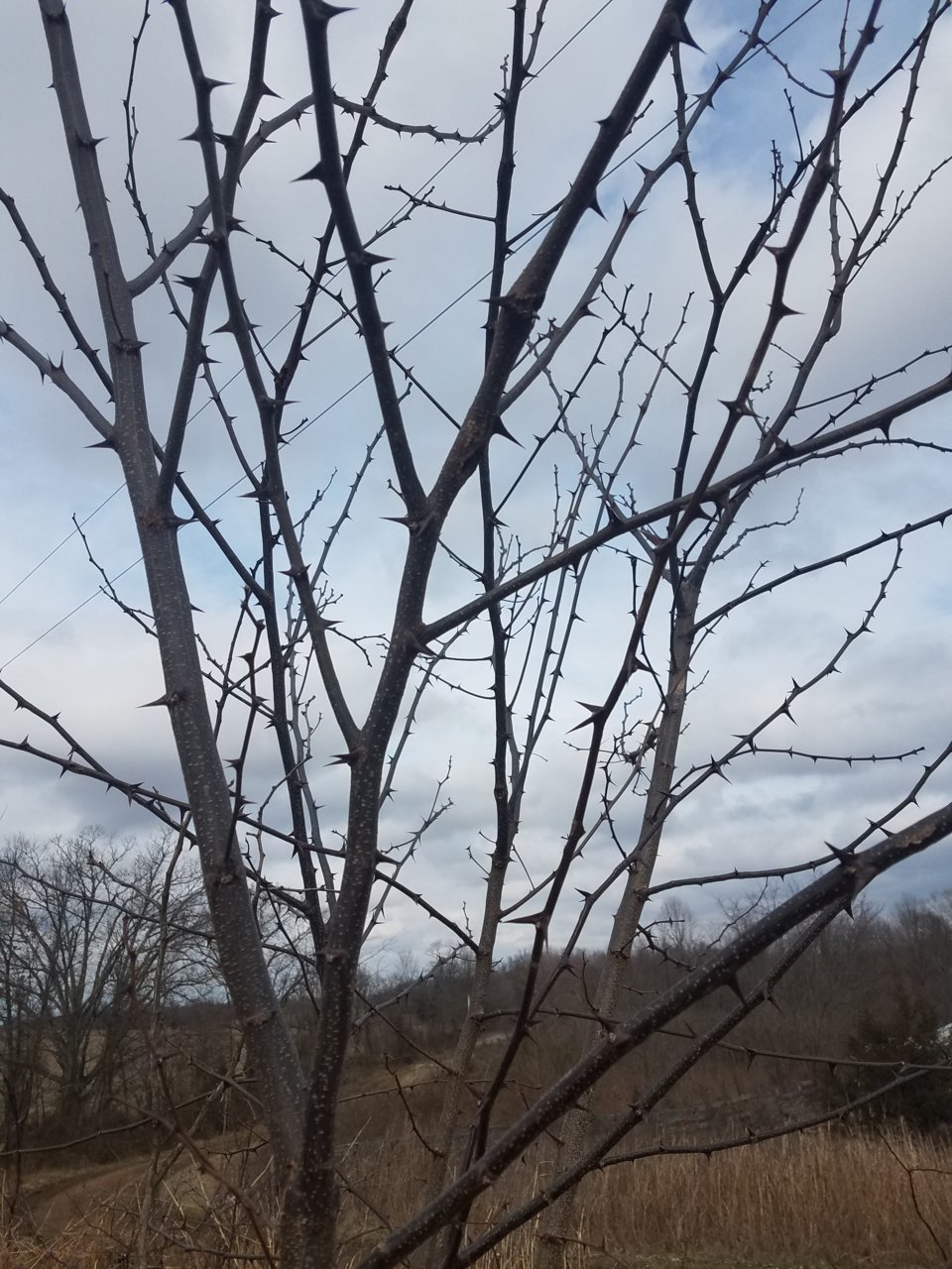 20200311_154731.jpg