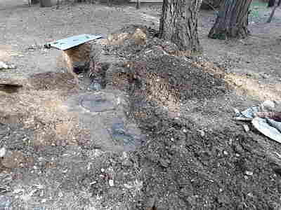 20200313_164707_opt.jpg