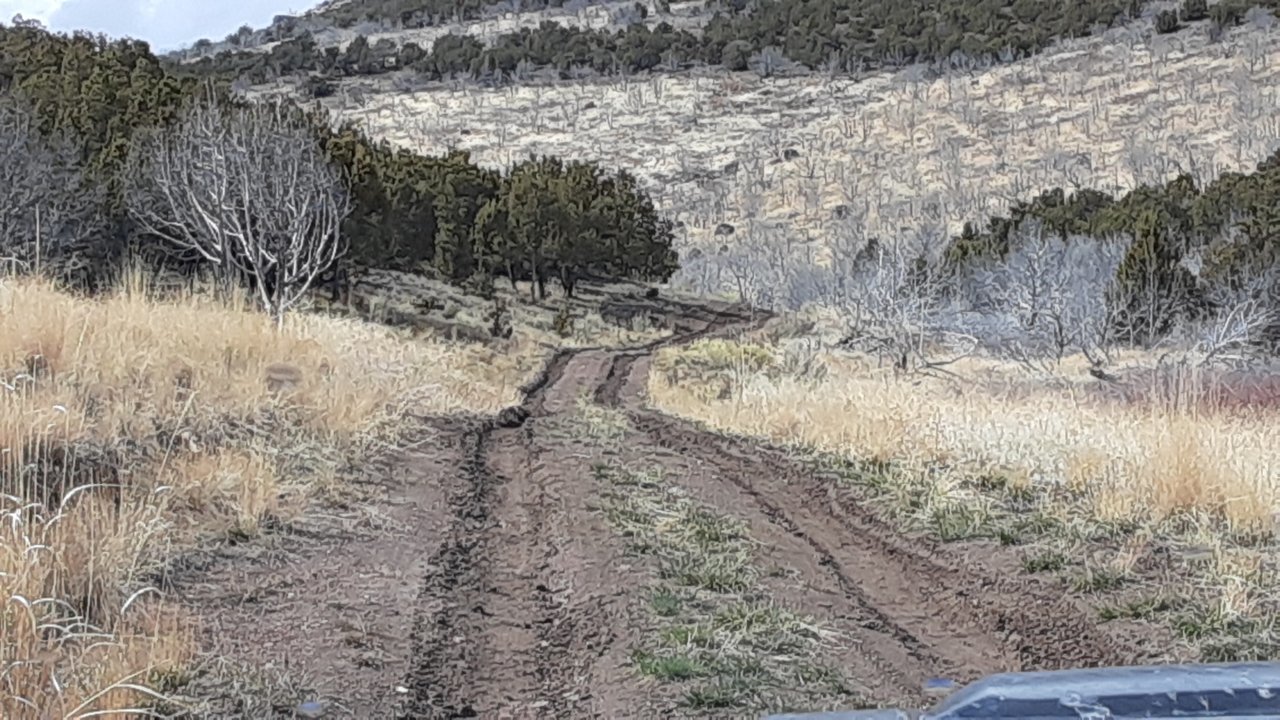 20200315_144001.jpg