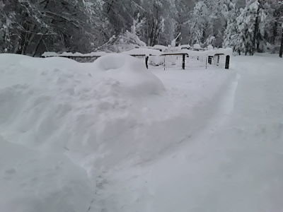 20200316_070051_opt.jpg