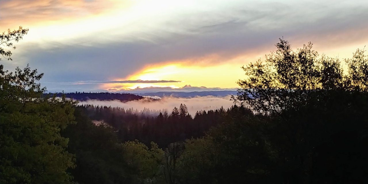 20200317_071448_HDR.jpg