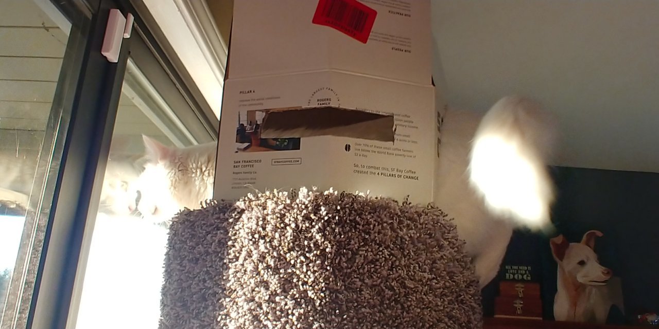 20200319_073116_HDR.jpg