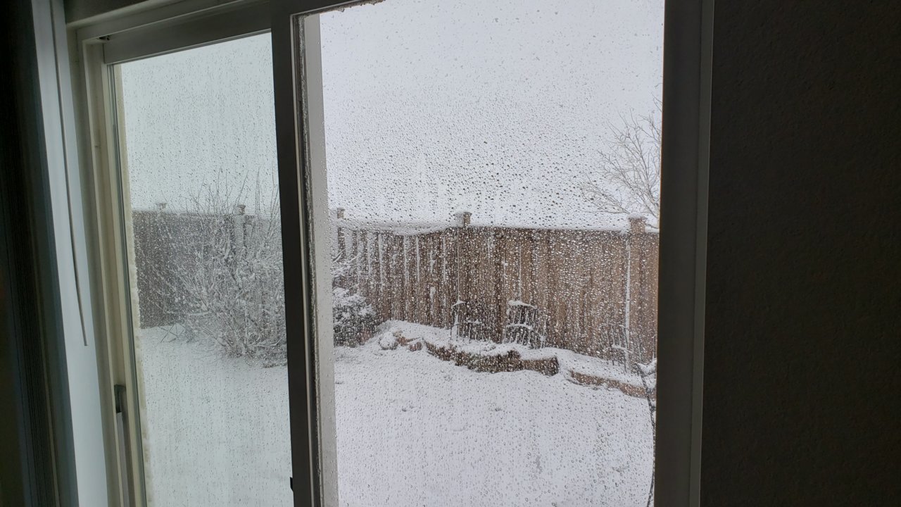 20200319_134011.jpg
