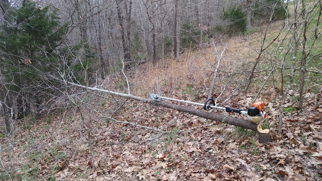 20200320_142658.jpg