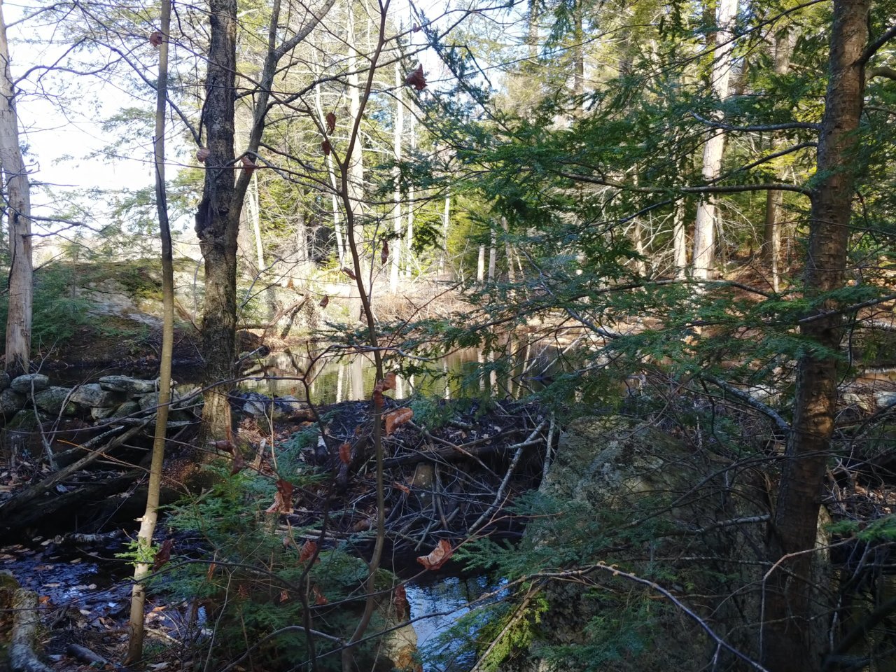 20200321_095401_HDR.jpg