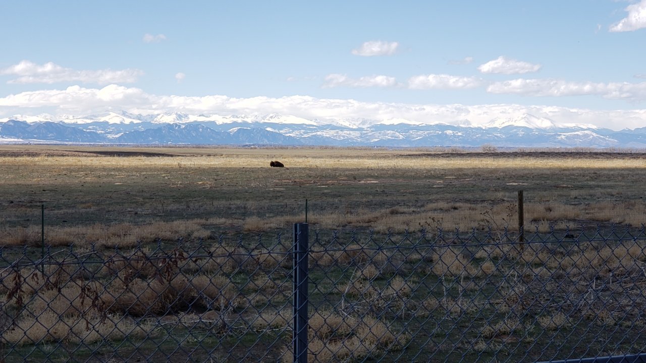 20200324_143408.jpg