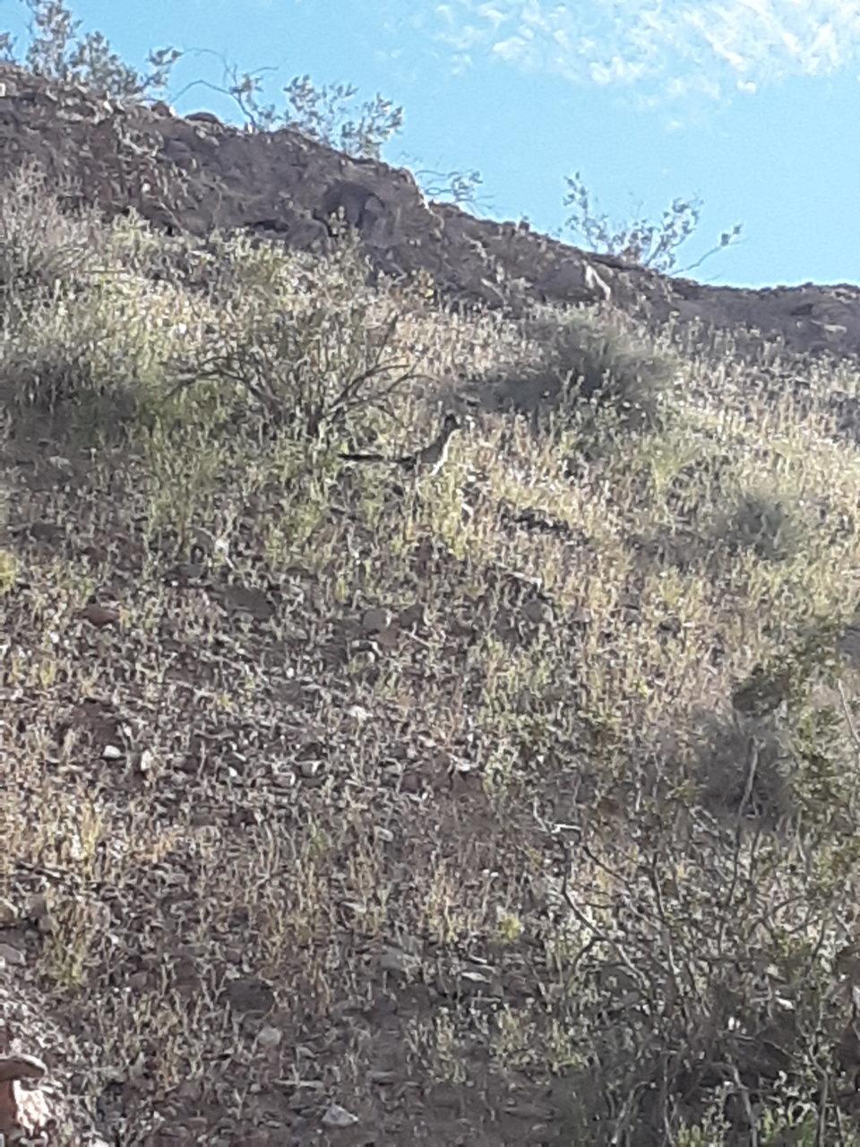 20200328_162639.jpg