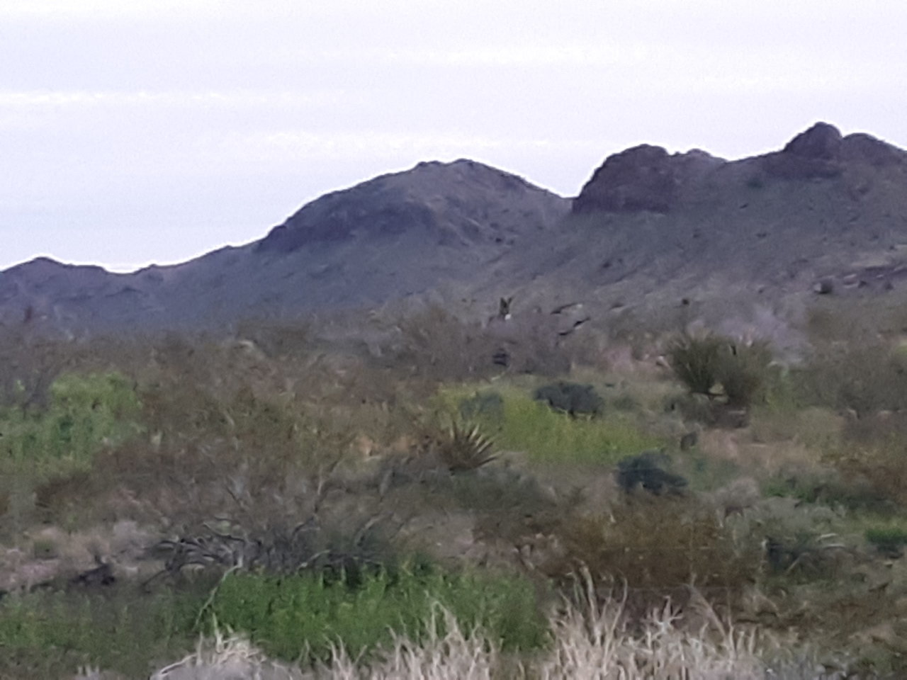 20200328_185942.jpg