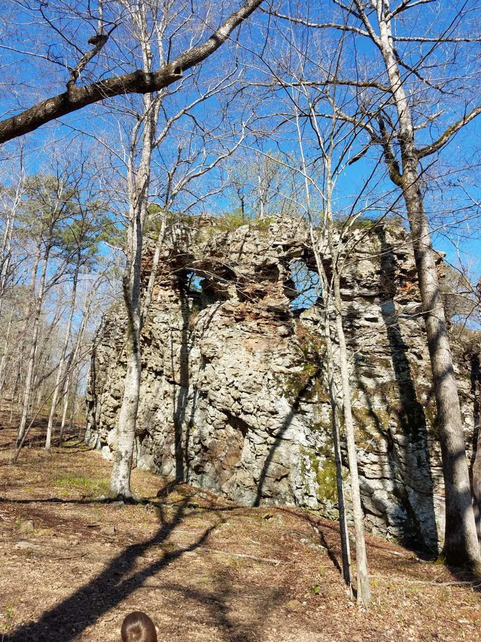 20200331_162849.jpg