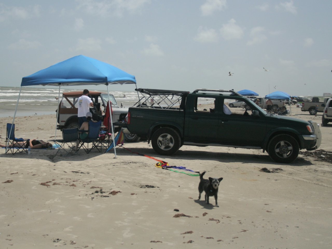 20200331_195749.jpg