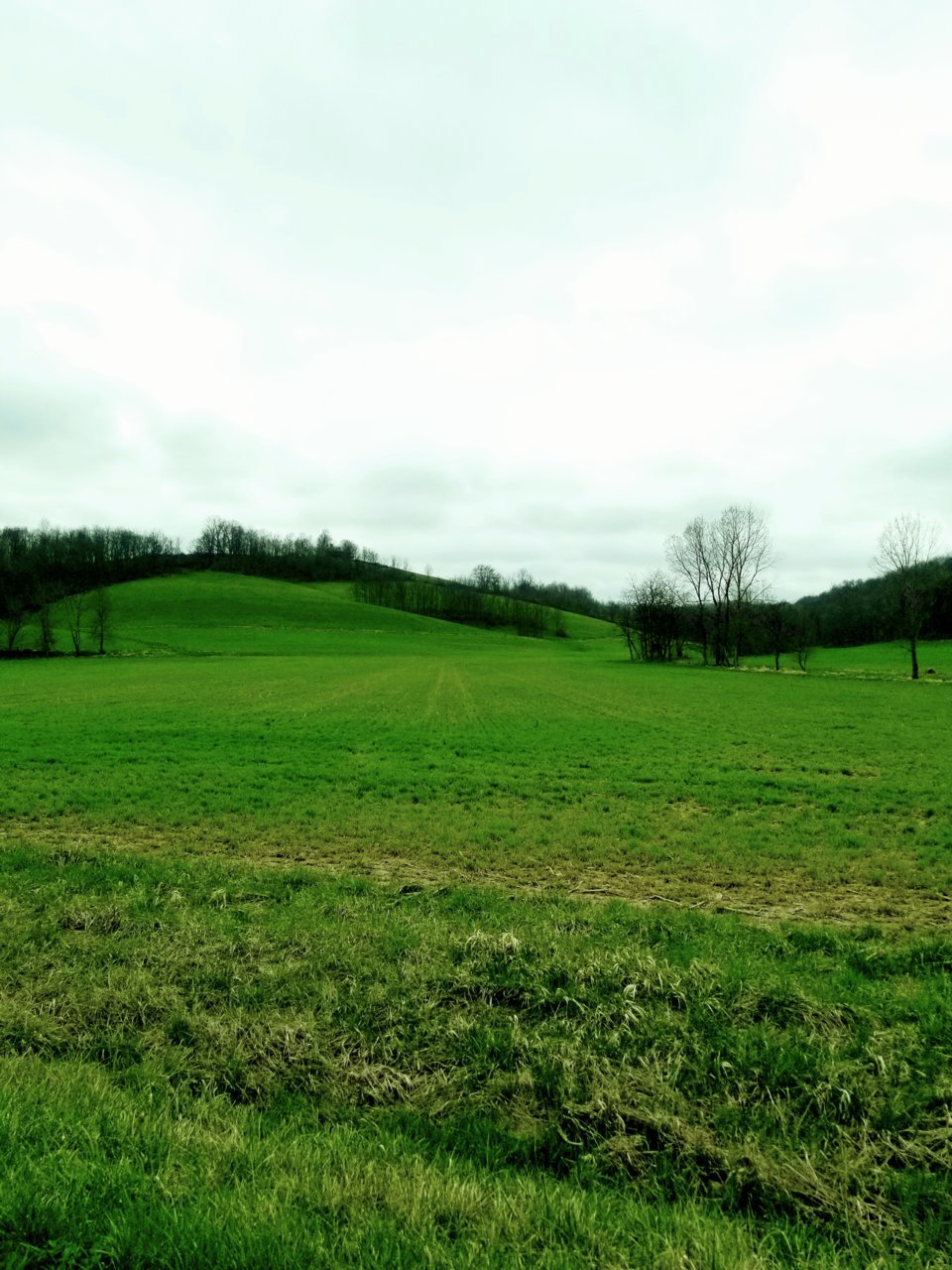 20200405_182802.jpg
