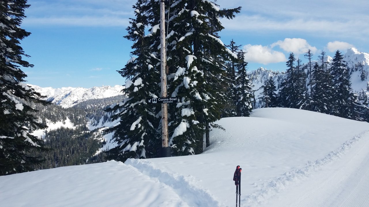 20200406_170015.jpg