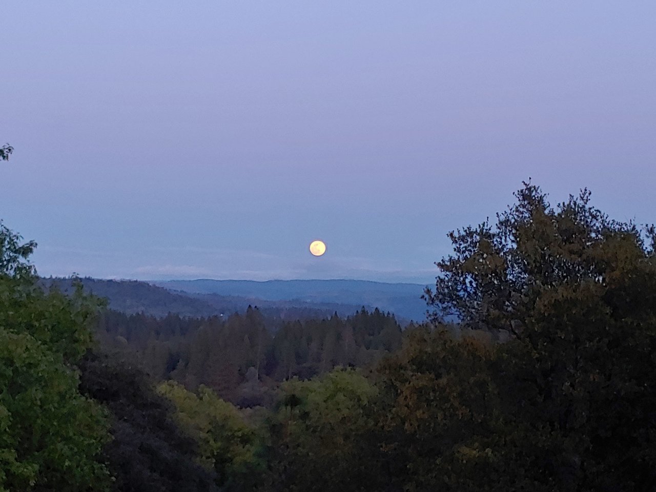 20200407_194006.jpg