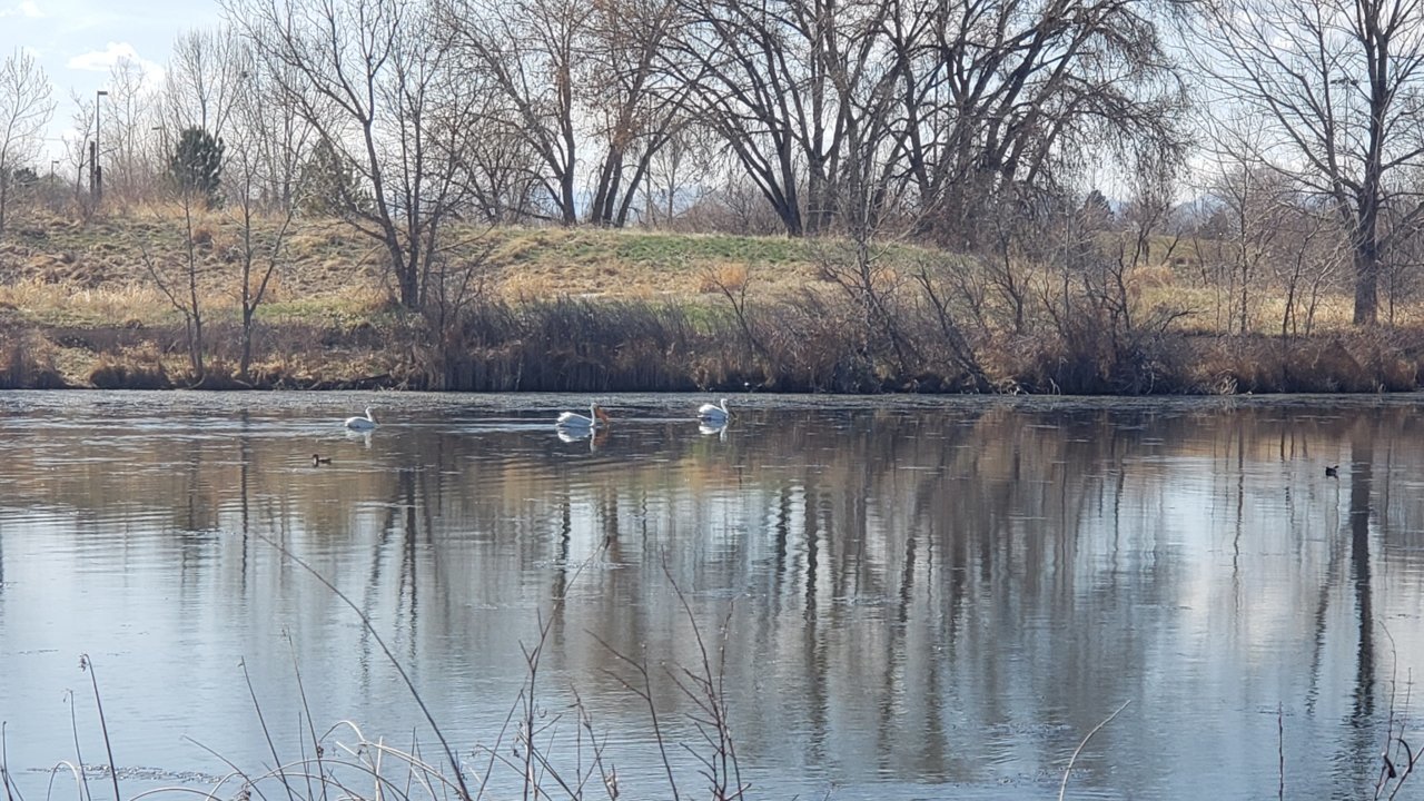 20200408_153950.jpg