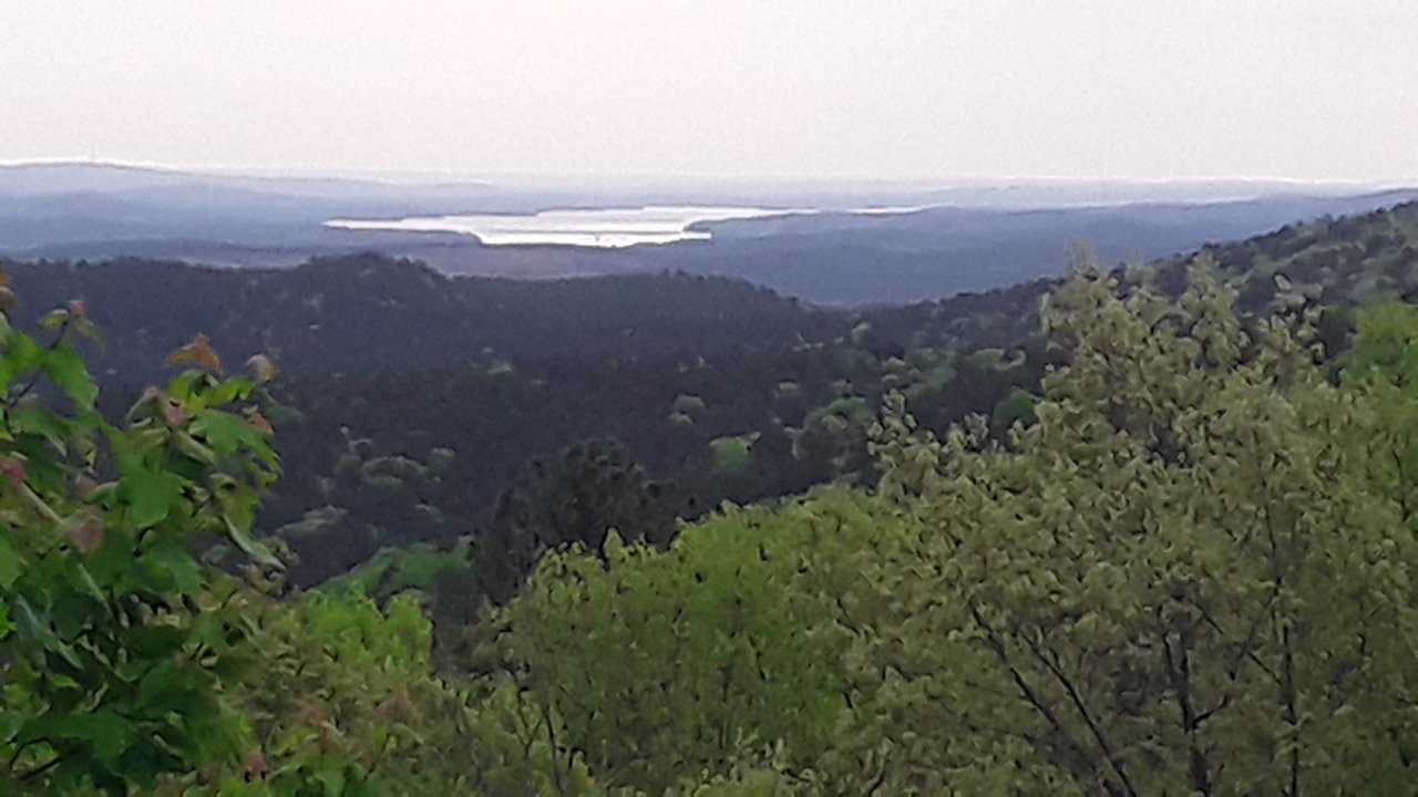 20200411_154833.jpg