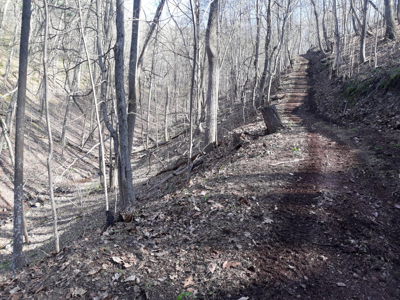 20200411_164300.jpg