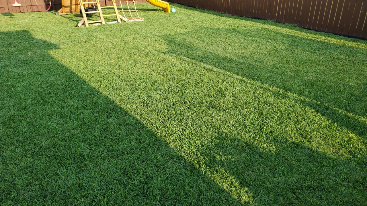 20200411_182619.jpg