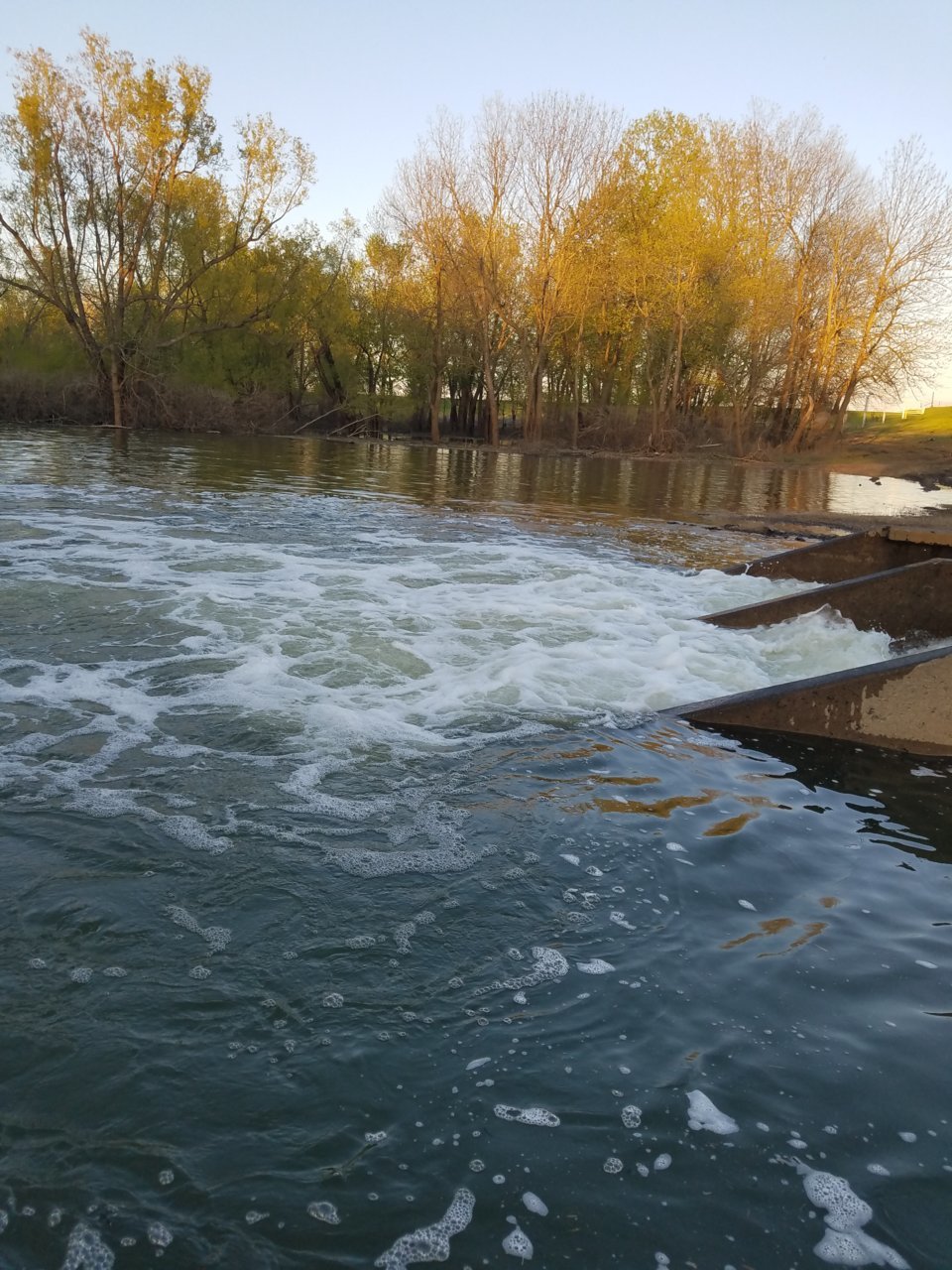 20200414_190148.jpg
