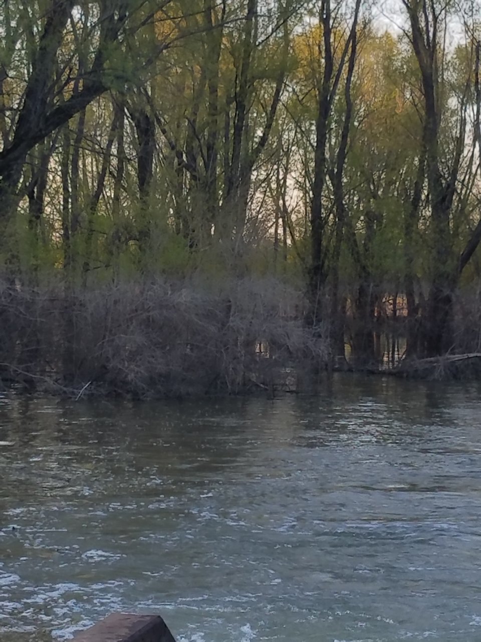 20200414_190317.jpg