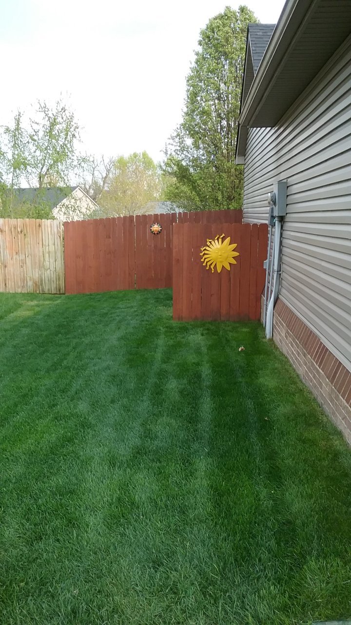 20200415_182317.jpg