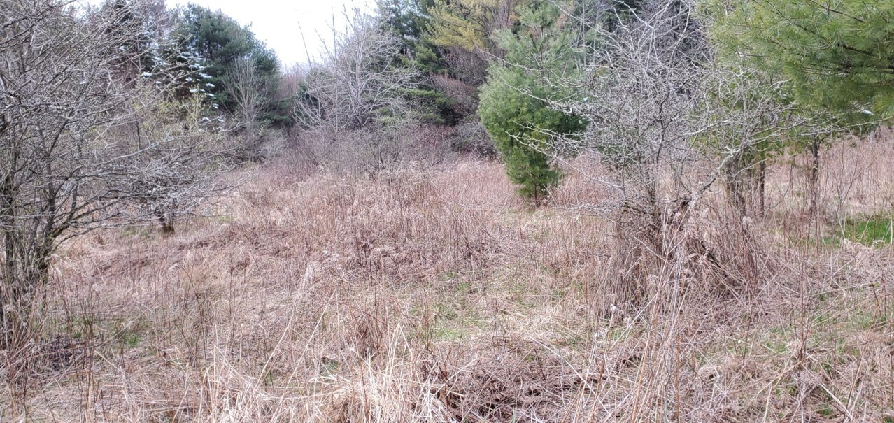 20200416_132130.jpg