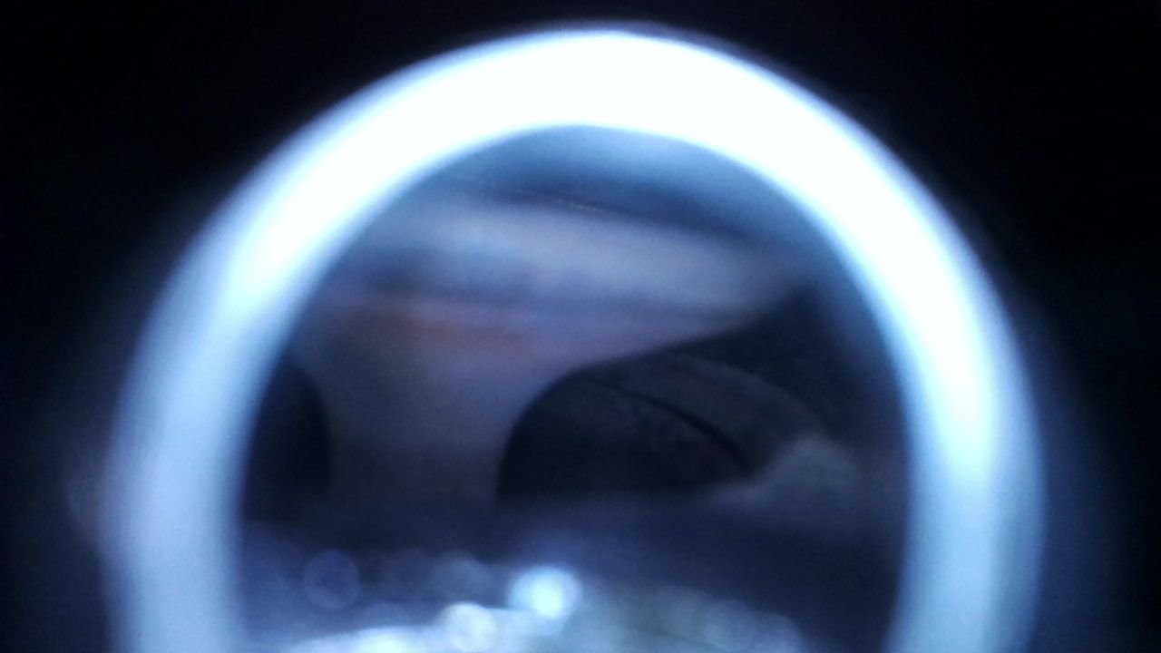 20200418203451.jpg