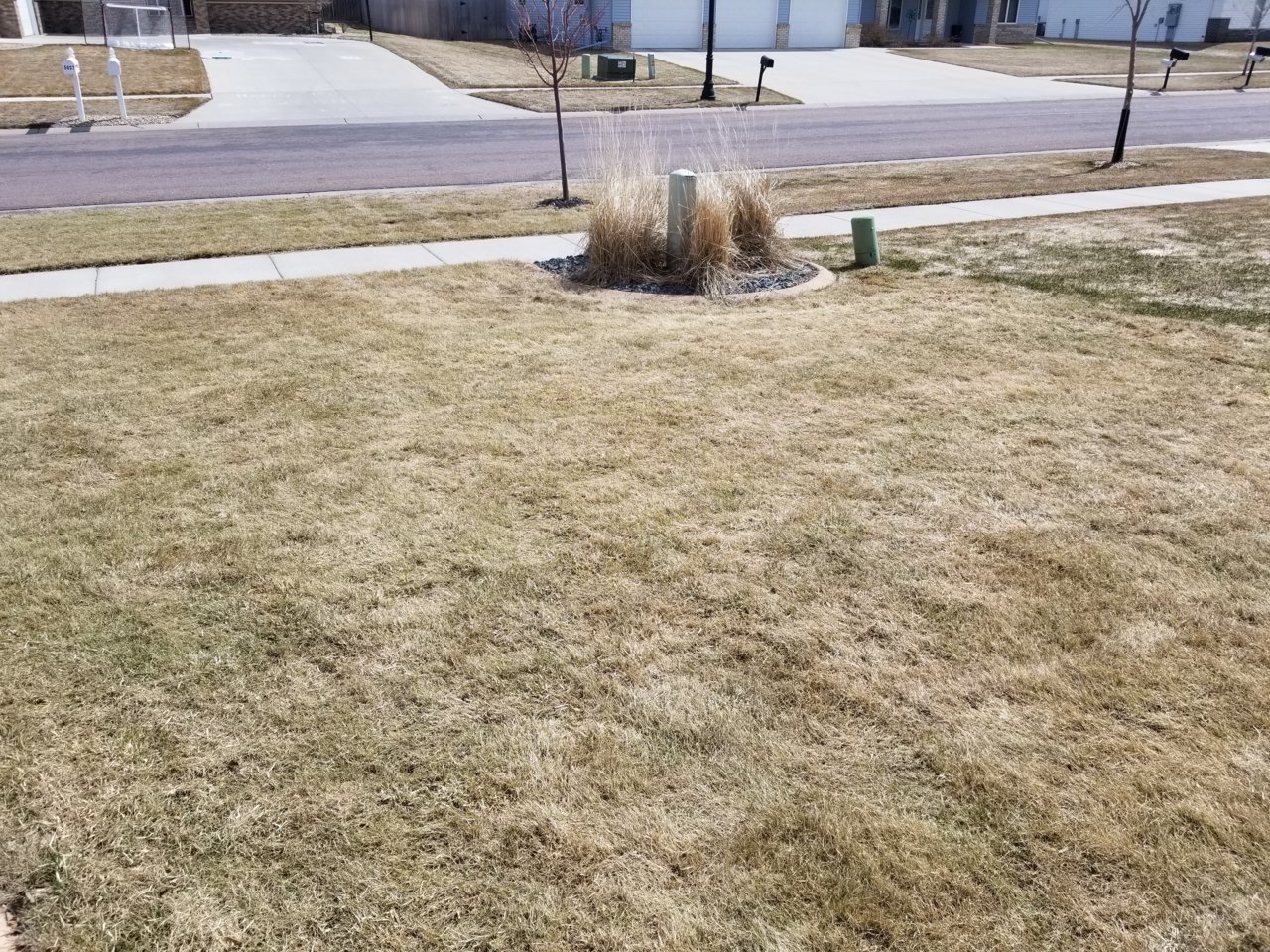 20200419_123941.jpg