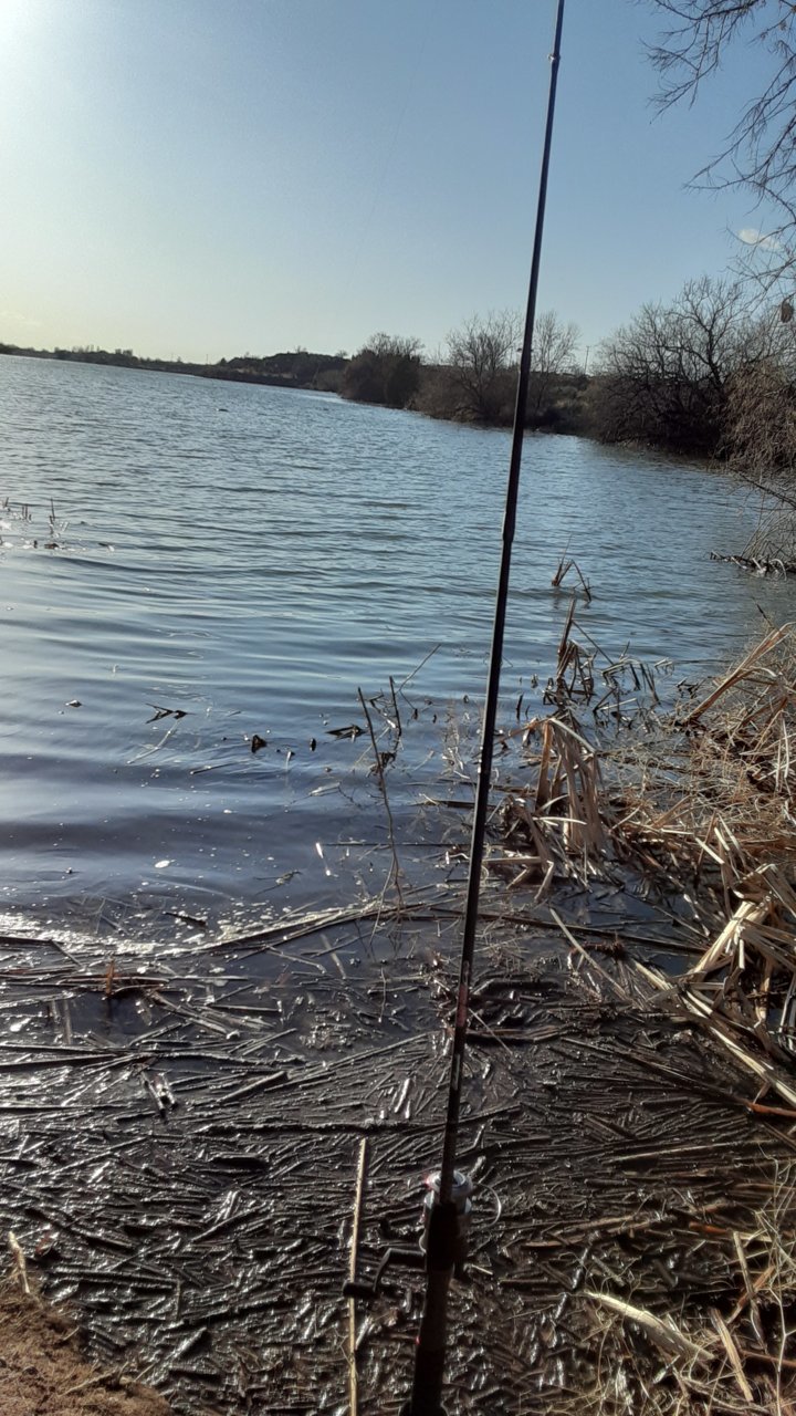 20200419_184710.jpg