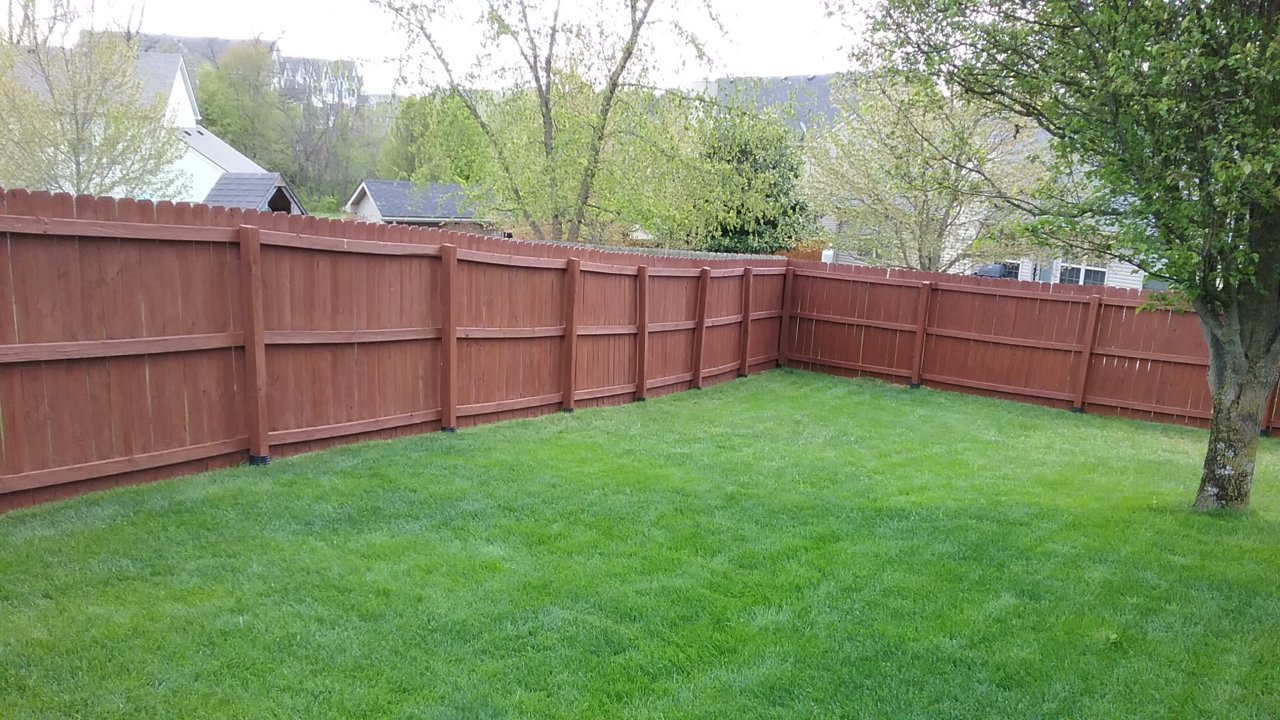 20200421_114427.jpg