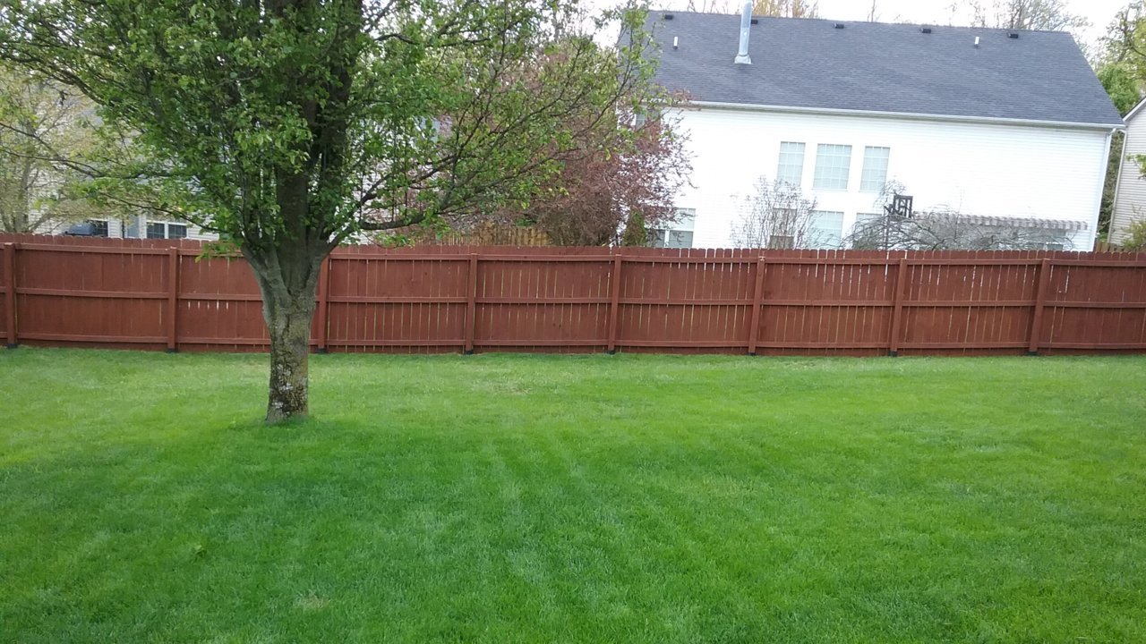 20200421_114429.jpg