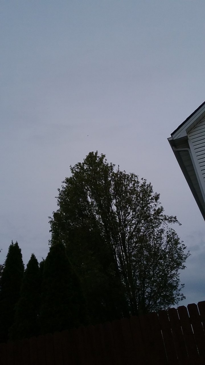 20200422_195526.jpg
