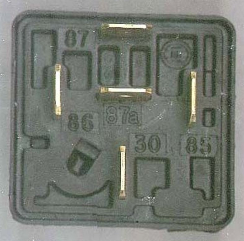 20200422_224850.jpg