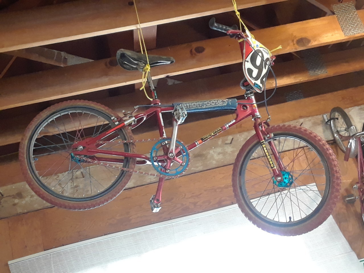 20200426_112910[1].jpg