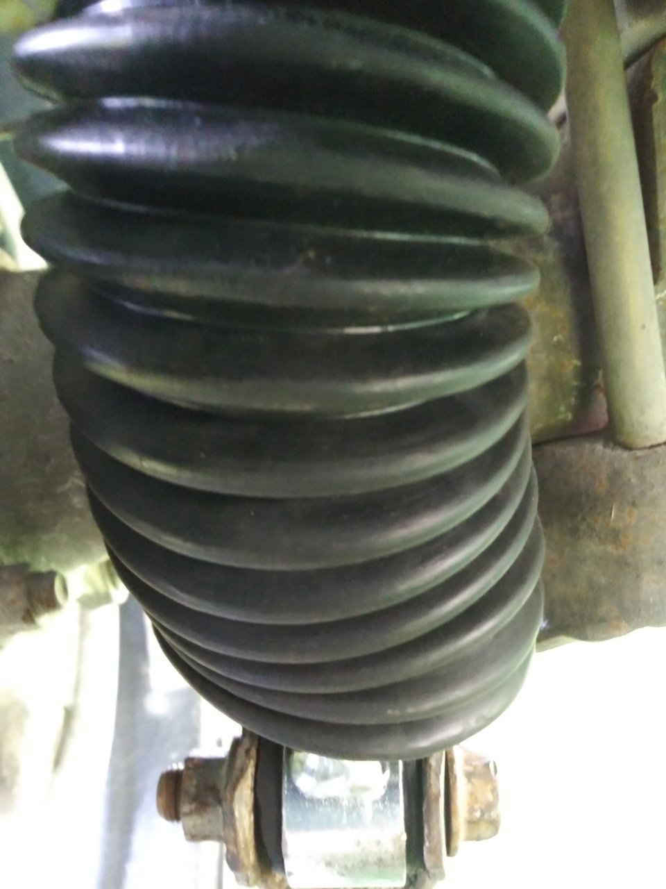 20200429_170042_HDR.jpg