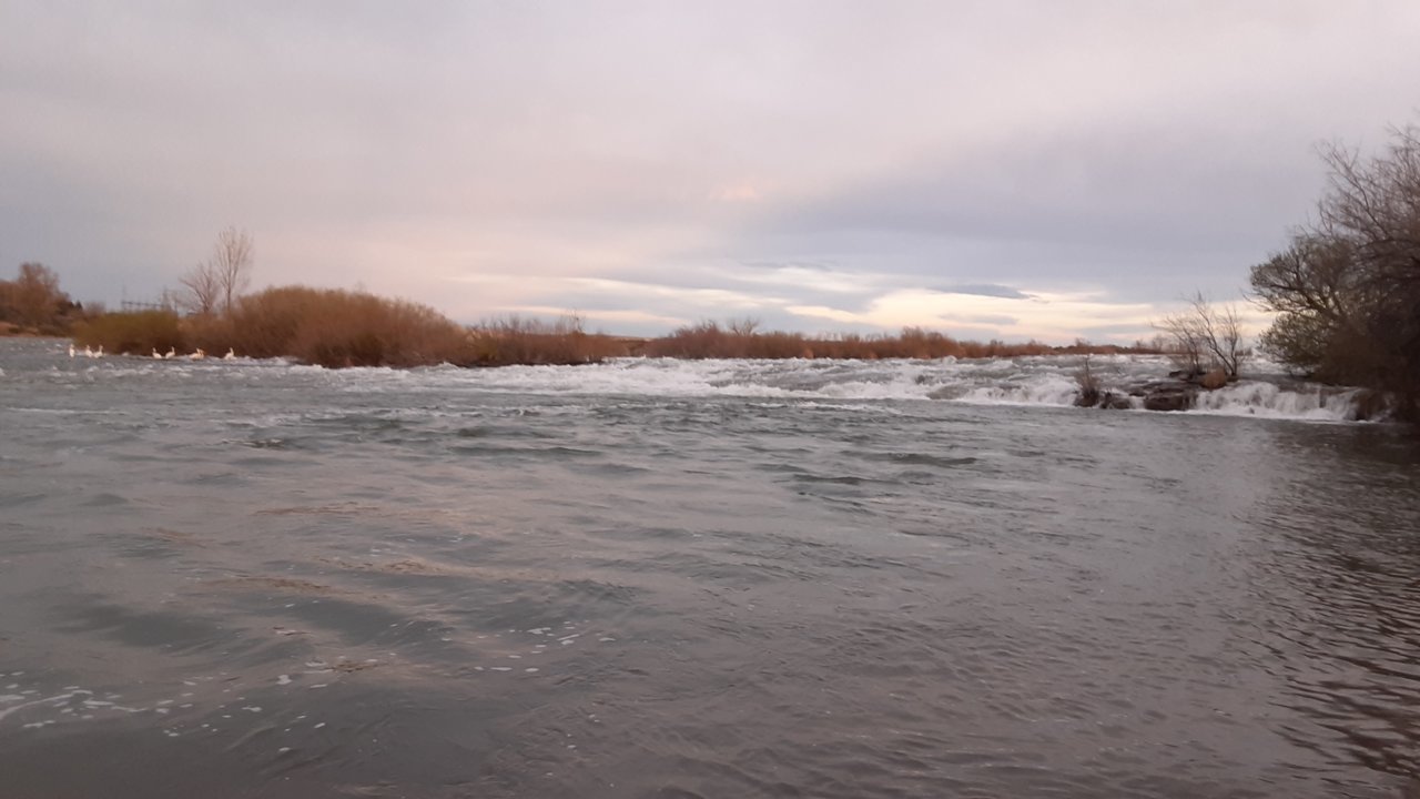 20200429_202253.jpg