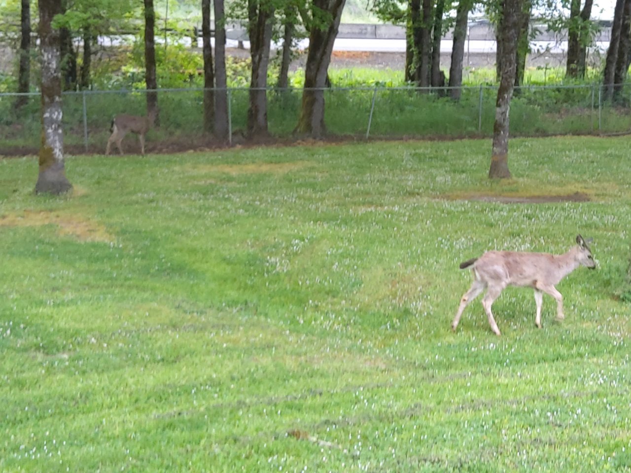 20200502_070143.jpg