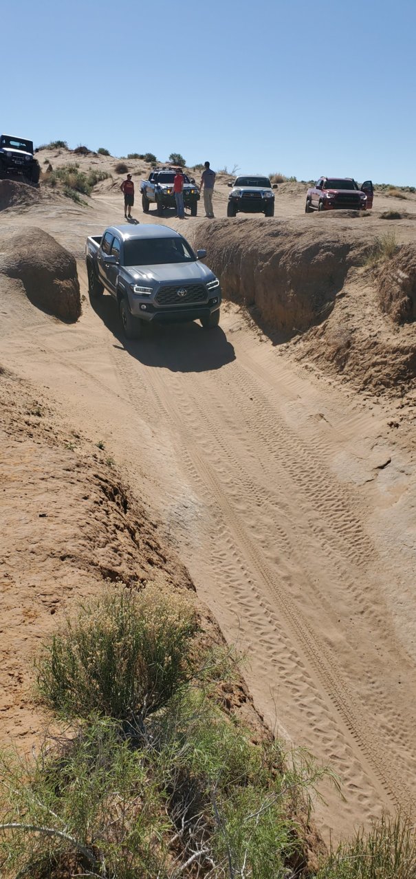 20200502_092944[1].jpg