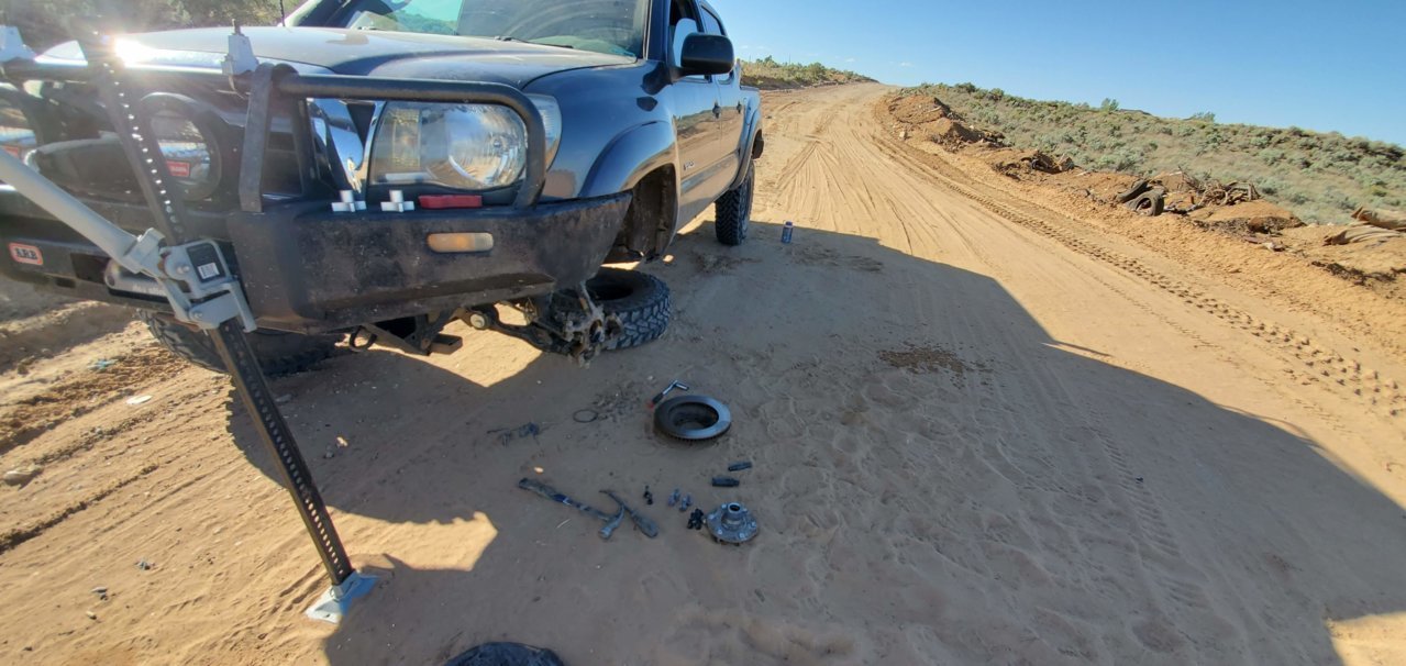 20200502_174012[1].jpg