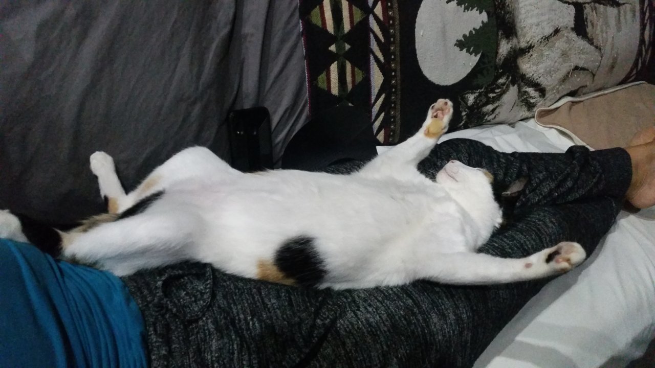 20200502_202352.jpg