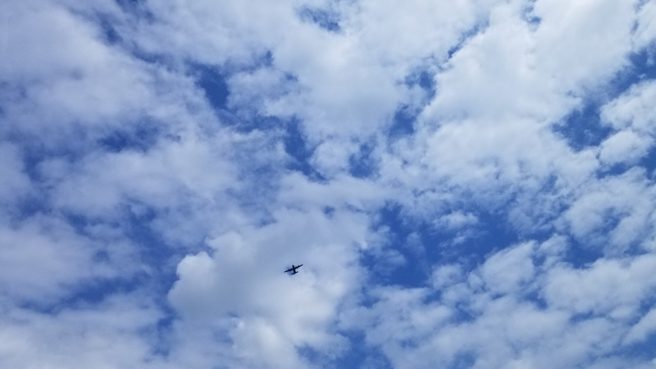 20200506_151000.jpg