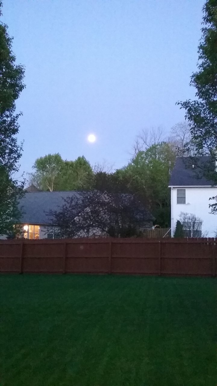 20200506_205253.jpg