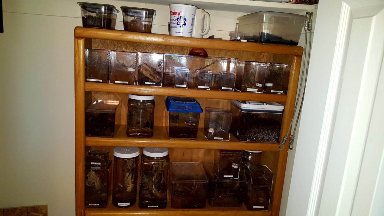 20200507_090433.jpg