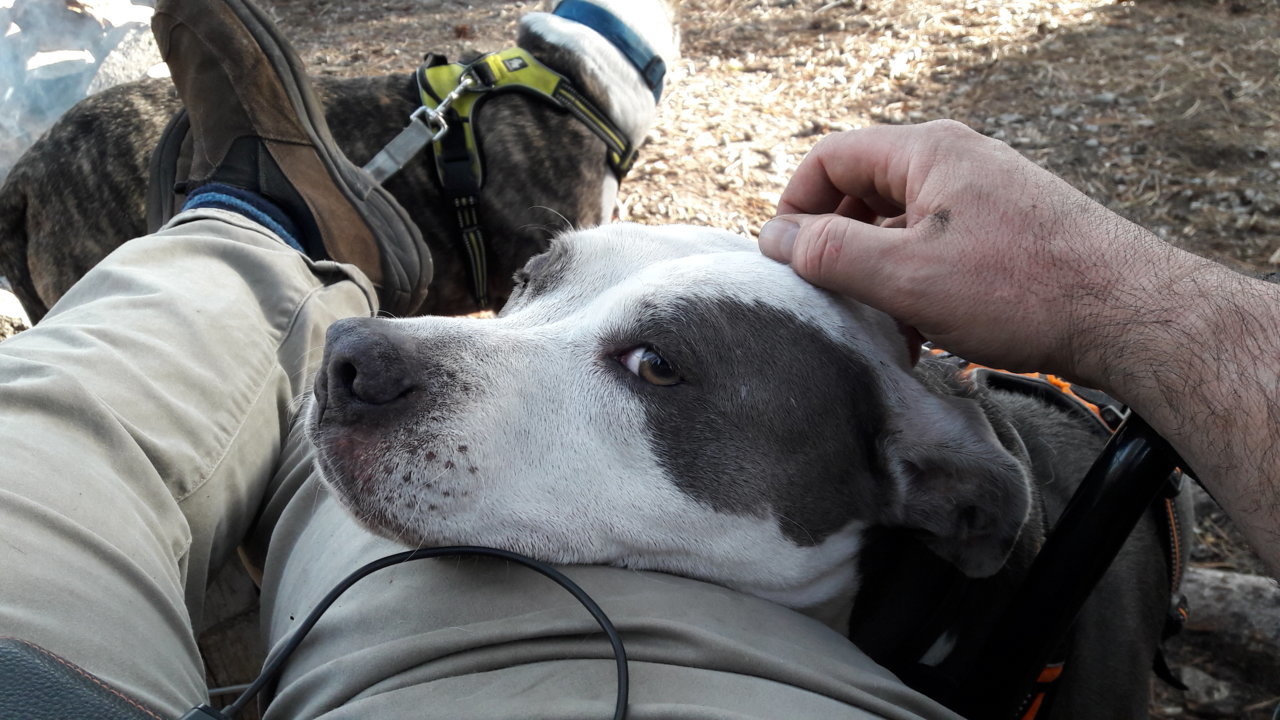 20200508_181804.jpg