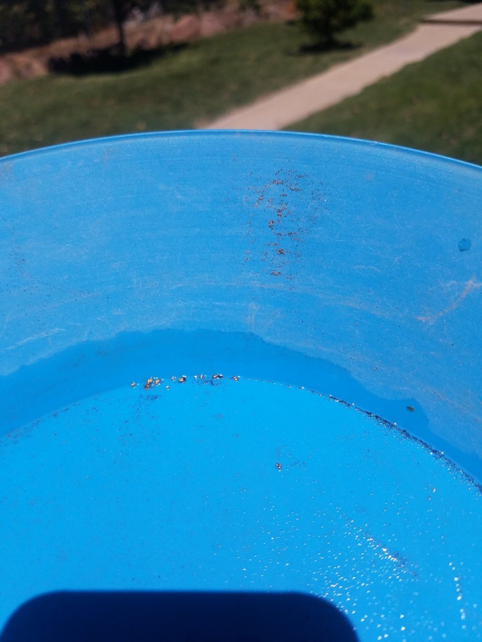 20200509_121457.jpg
