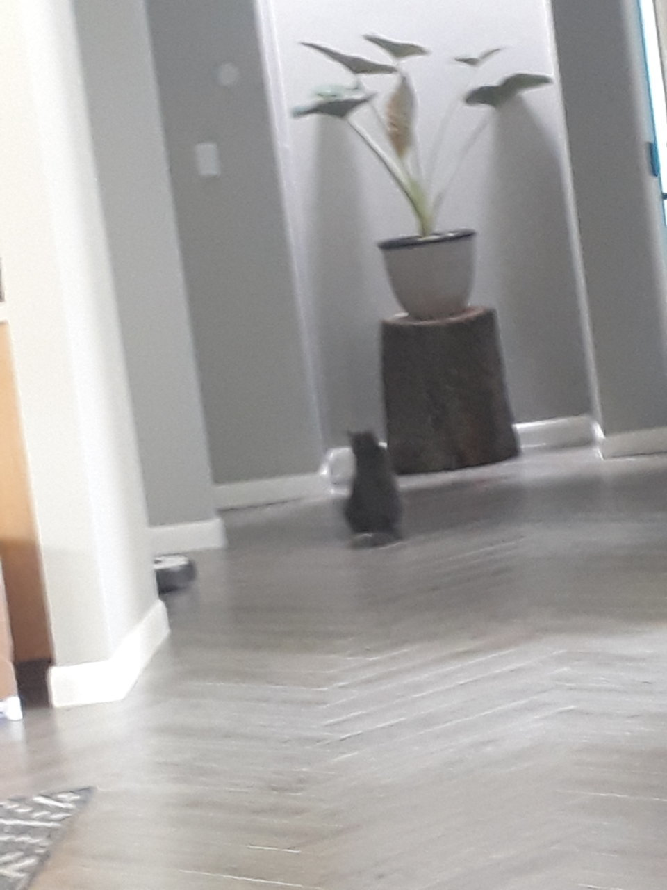 20200513_170743.jpg