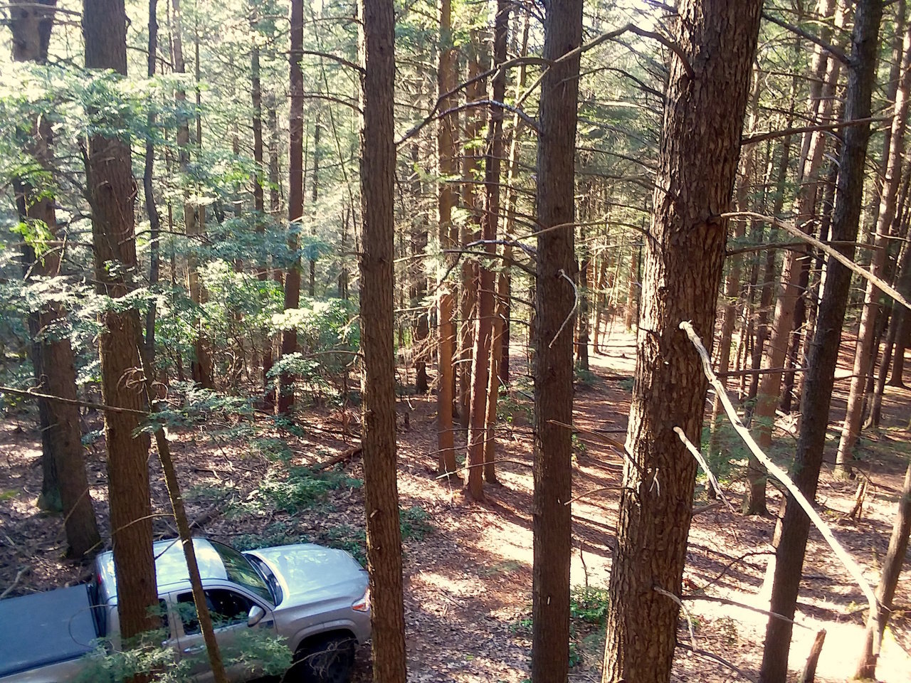 20200513_173226.jpg