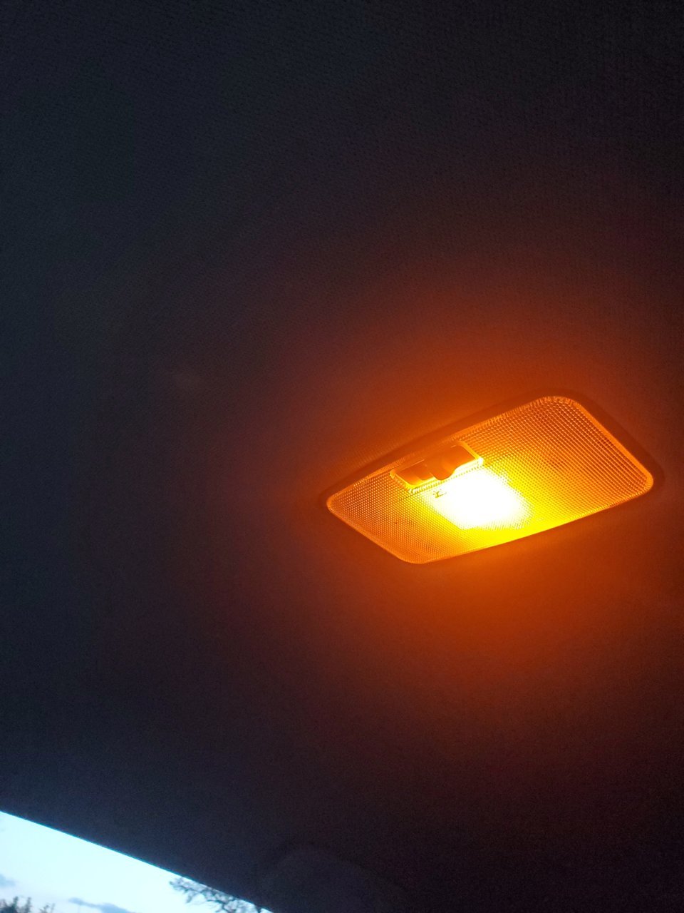 20200518_201445.jpg