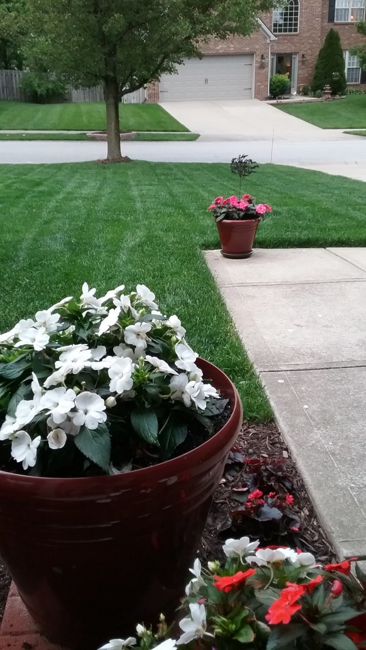 20200520_201202.jpg